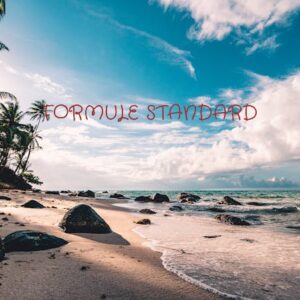 FORMULE STANDARD